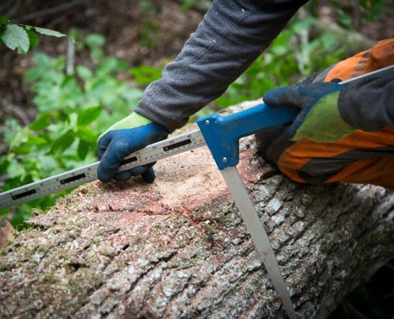 5. Contractualiser et s'assurer de la qualité des travaux forestiers