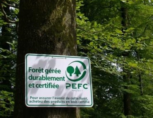6. Promouvoir la certification PEFC
