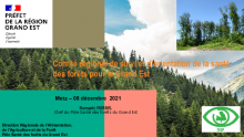 Comité Régional de suivi et d'orientation de la santé des forêts pour le Grand Est - DRAAF Grand Est