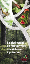 La biodiversité en forêt privée : une richesse à préserver - CNPF