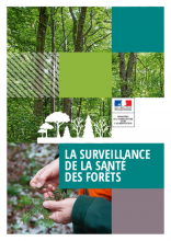 La surveillance de la santé des forêts - DGAL/DICOM