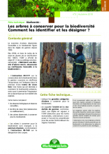 Guide technique ONF : Les arbres à conserver pour la biodiversité : comment les identifier et les désigner ? 