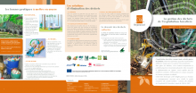 La gestion des déchets de l’exploitation forestière (REGIOWOOD)